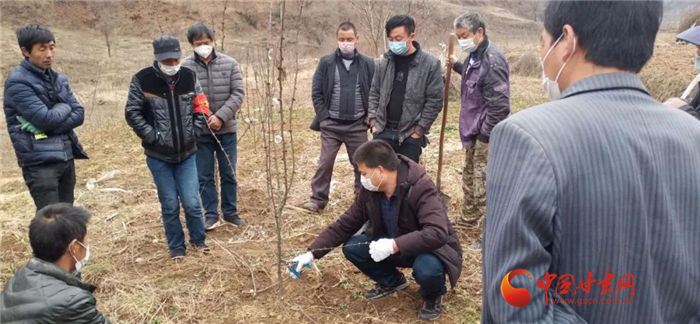 【甘肅全民戰(zhàn)“疫”】隴南徽縣：花椒田里培訓忙，戰(zhàn)疫春耕兩不誤
