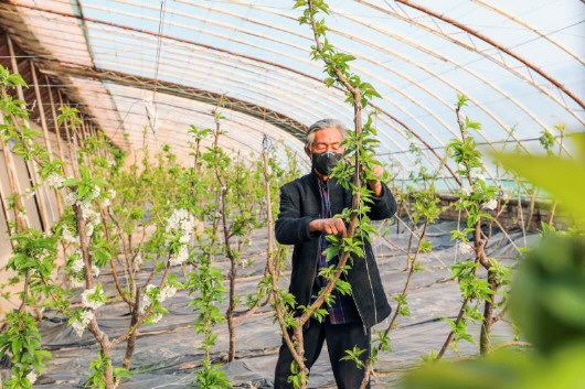 銅城復(fù)蘇：春光明媚，邀你共賞芳華（組圖）