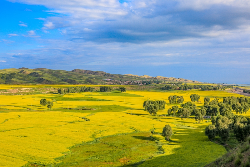 創(chuàng)意海報丨甘肅的美，你來了才知道