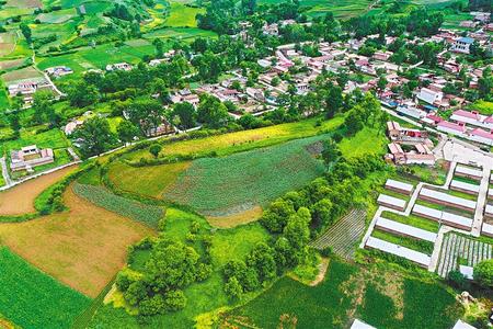 【溫暖的回響 滄桑巨變 飲水思源】這條路，通往幸福