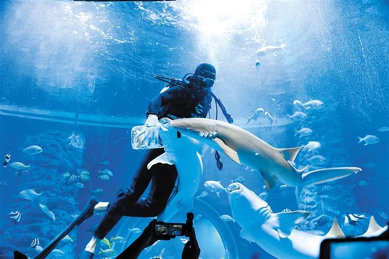 蘭州海洋公園 金昌火星1號基地 這個暑假我們“上天入?！?>
        </a><em>蘭州海洋公園 金昌火星1號基地 這個暑假我們“上天入?！?/em></li>
    <li><a  target=