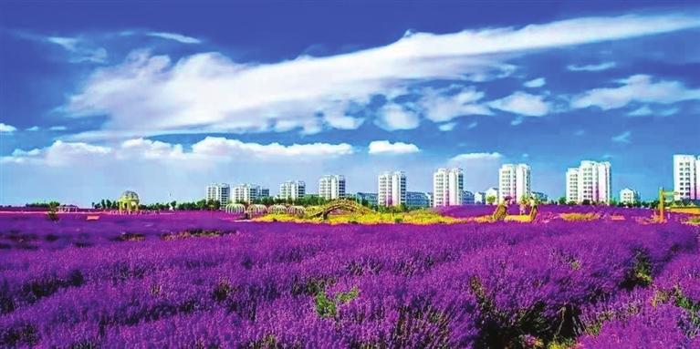 “三連冠”！金昌蟬聯(lián)全國文明城市