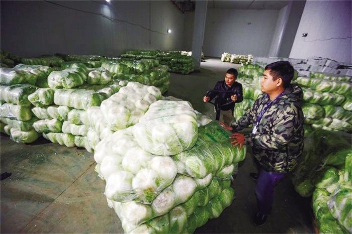 蘭州市已儲(chǔ)備1萬(wàn)噸冬春蔬菜以耐貯存、易周轉(zhuǎn)品種為主