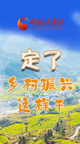 圖解|定了！全面推進(jìn)鄉(xiāng)村振興這樣干！