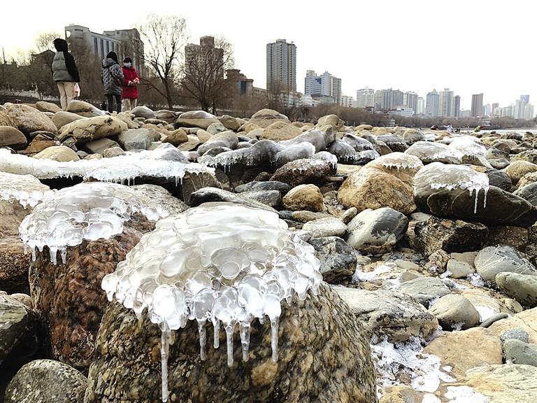 蘭州：水母上河灘？