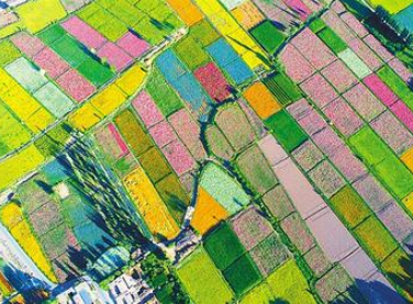 【邁好第一步 見(jiàn)到新氣象】甘肅發(fā)展特色產(chǎn)業(yè)推動(dòng)脫貧攻堅(jiān)銜接鄉(xiāng)村振興報(bào)道之五  織密產(chǎn)業(yè)“安全網(wǎng)” 農(nóng)戶(hù)吃上“定心丸”