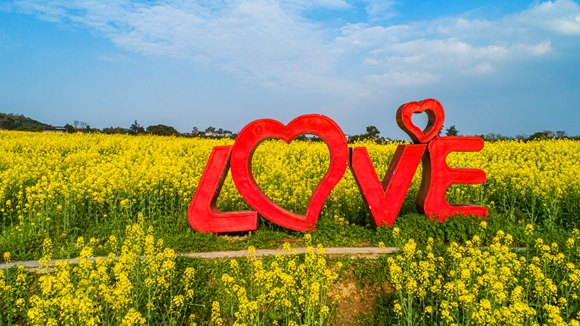 “l(fā)ove”創(chuàng)意拍照墻。廖濤 攝