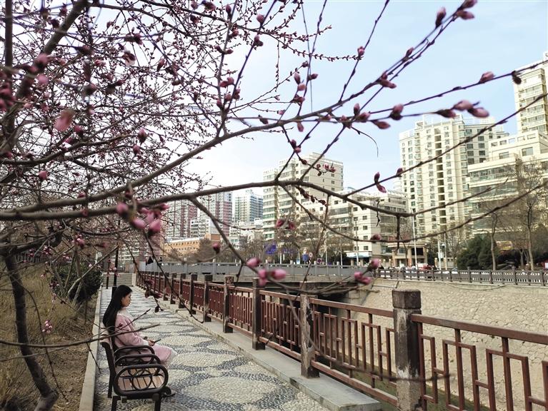 蘭州“第一朵花”開了！