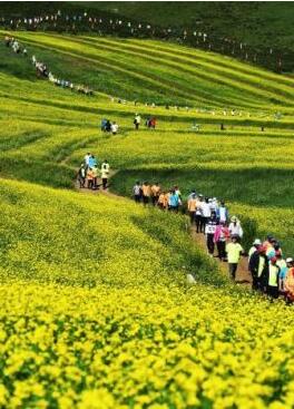 甘肅明確農(nóng)民進(jìn)城落戶:不以退出承包地、林地等為條件