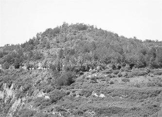 歷史眼丨張果老是正寧人？他與甘肅福緣不淺