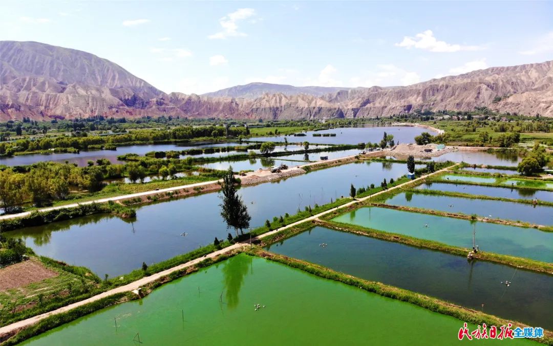 一秒入畫(huà)！太極島濕地風(fēng)光秀麗