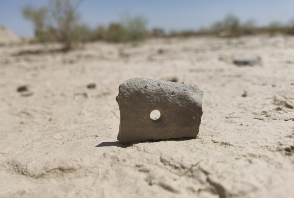 插圖1：河西走廊上遺存的古陶片。攝影：陳曉斌。拍攝日期：2020年6月。