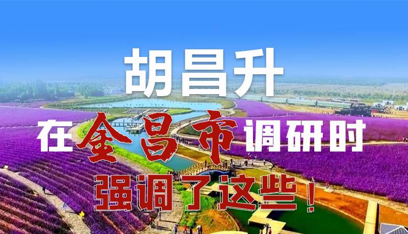 圖解|胡昌升在金昌市調(diào)研時強(qiáng)調(diào)了這些！