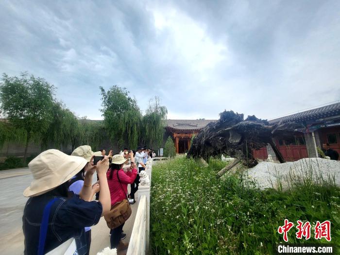 圖為媒體記者在青海永錄民俗參觀采訪。　薛蒂 攝