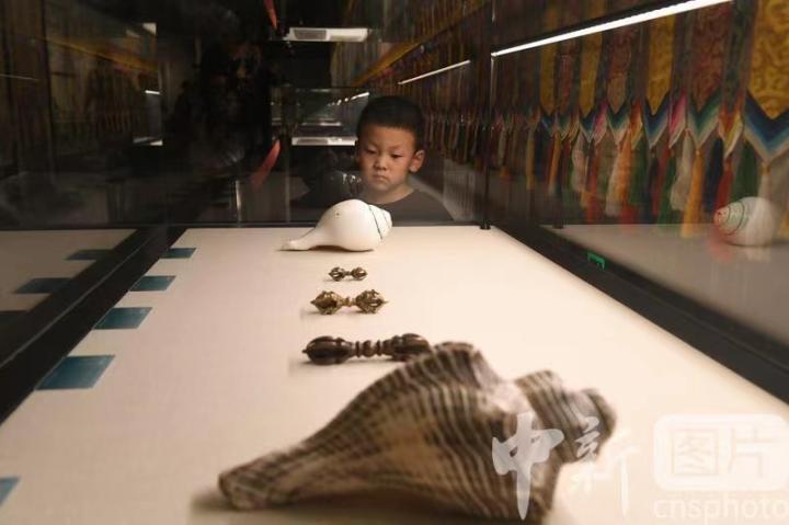 圖為展出的“白海螺法器”吸引小觀(guān)眾。 中新社記者 戴文昌 攝