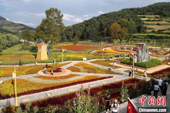 圖為航拍甘肅甘南臨潭縣八角鎮(zhèn)，花海吸引游人。(資料圖)高展 攝