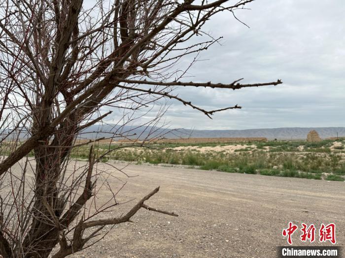 圖為位于長(zhǎng)城墻體上的“馬面”或“敵臺(tái)”。　戴文昌 攝