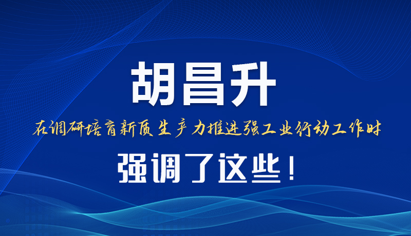 圖解|胡昌升在調研培育新質生產力推進強工業(yè)行動工作時強調了這些！