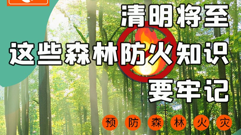 【甘快看】圖解|緊繃“安全弦”！清明，這些森林防火知識要牢記