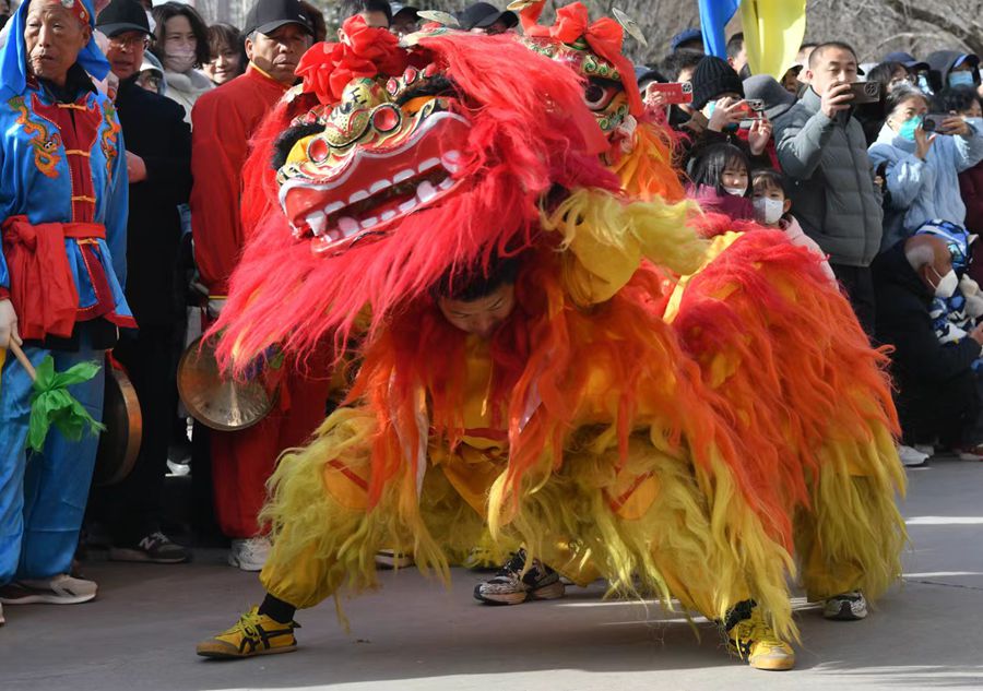 蘭州北獅表演現(xiàn)場(chǎng)。受訪者供圖