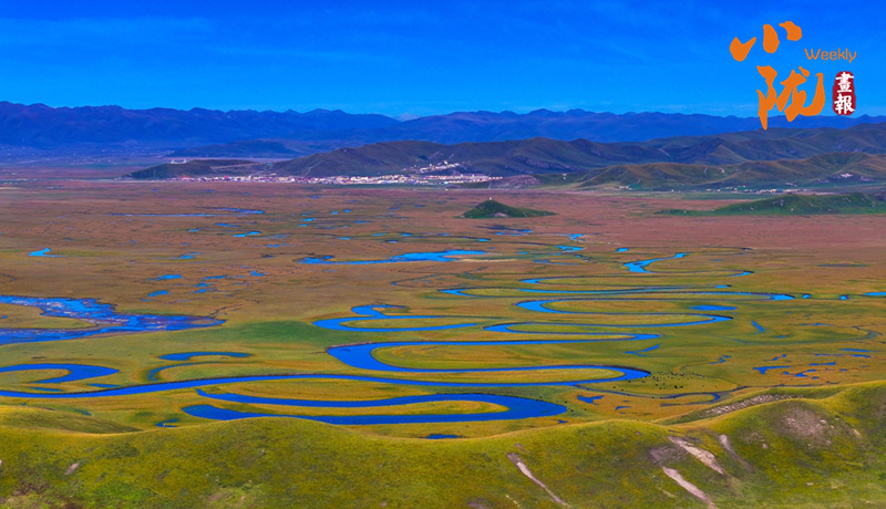 【小隴畫(huà)報(bào)·454期】冬日瑪曲宛若一部水墨長(zhǎng)卷