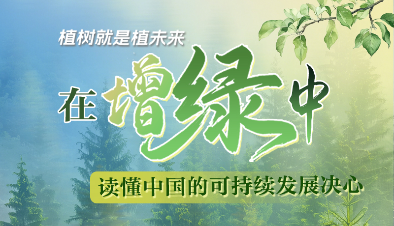 【理響中國 話隴點睛】植樹就是植未來，在增綠中讀懂中國的可持續(xù)發(fā)展決心